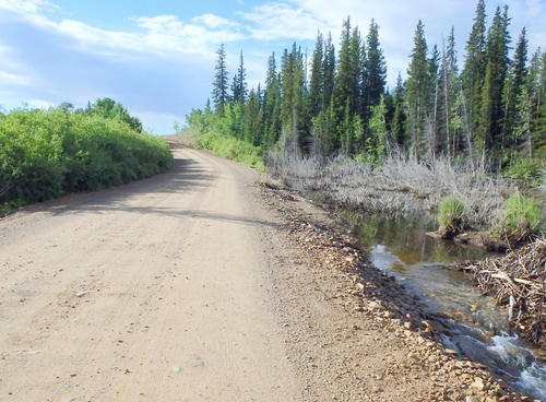 GDMBR: Paralleling Tarryall Creek SE.